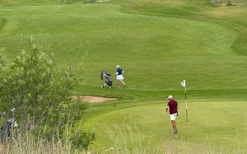 Pardigolf 2025 mäng 2